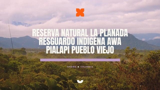 Reserva Natural La Planada — Colombia
