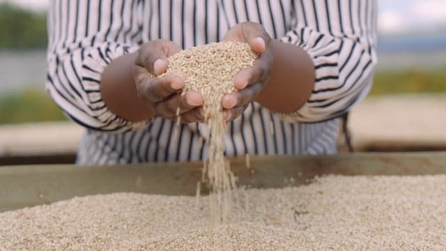 Zambia: How Women Entrepreneurs Are Building the Nation