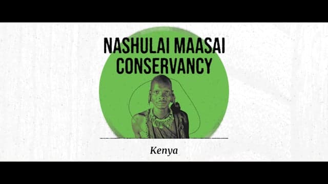 Nashulai Maasai Conservancy — Kenya