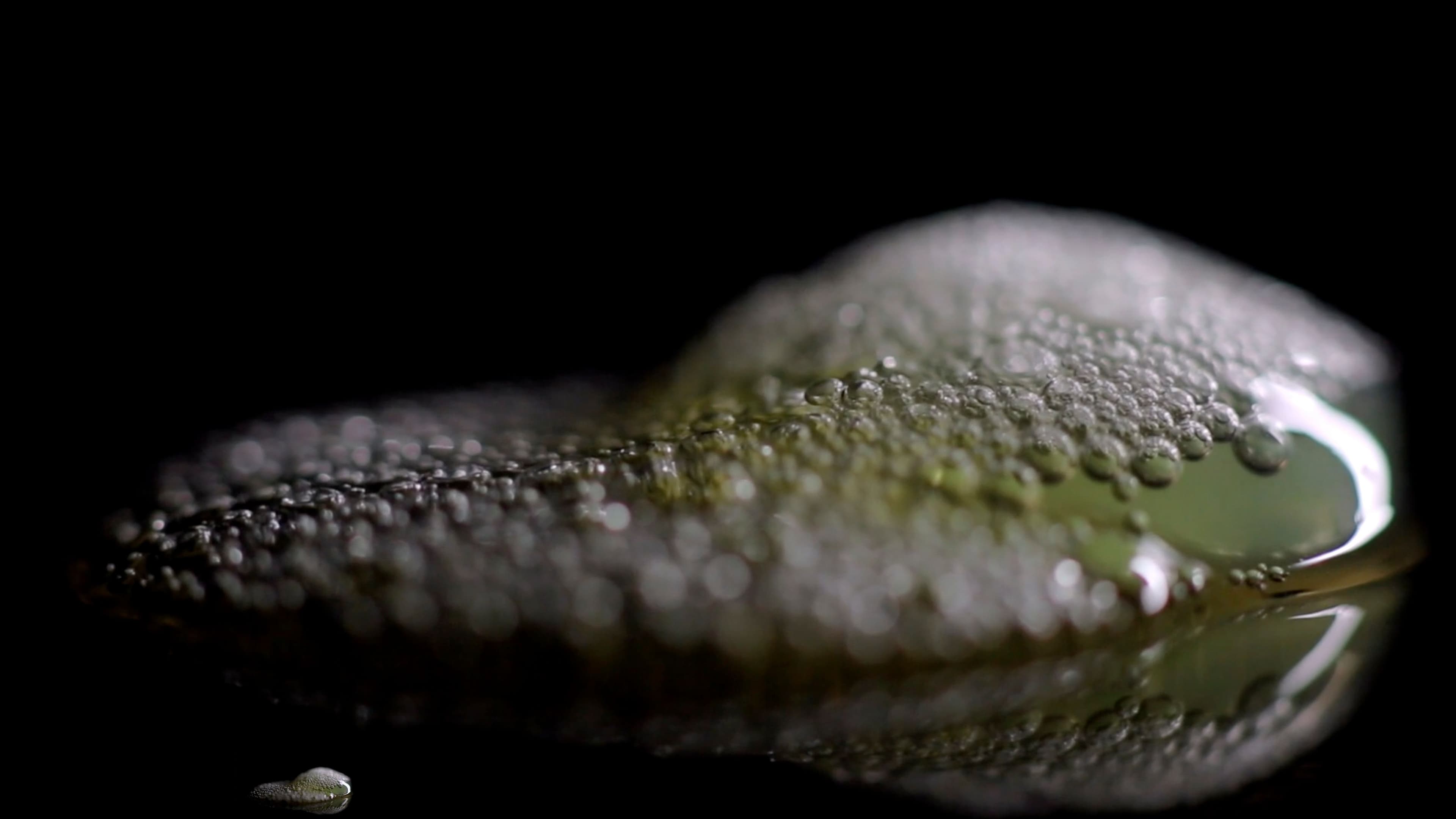 An extreme macro shot of a foam-covered dish, its tiny bubbles catching the light against a dark reflective surface.