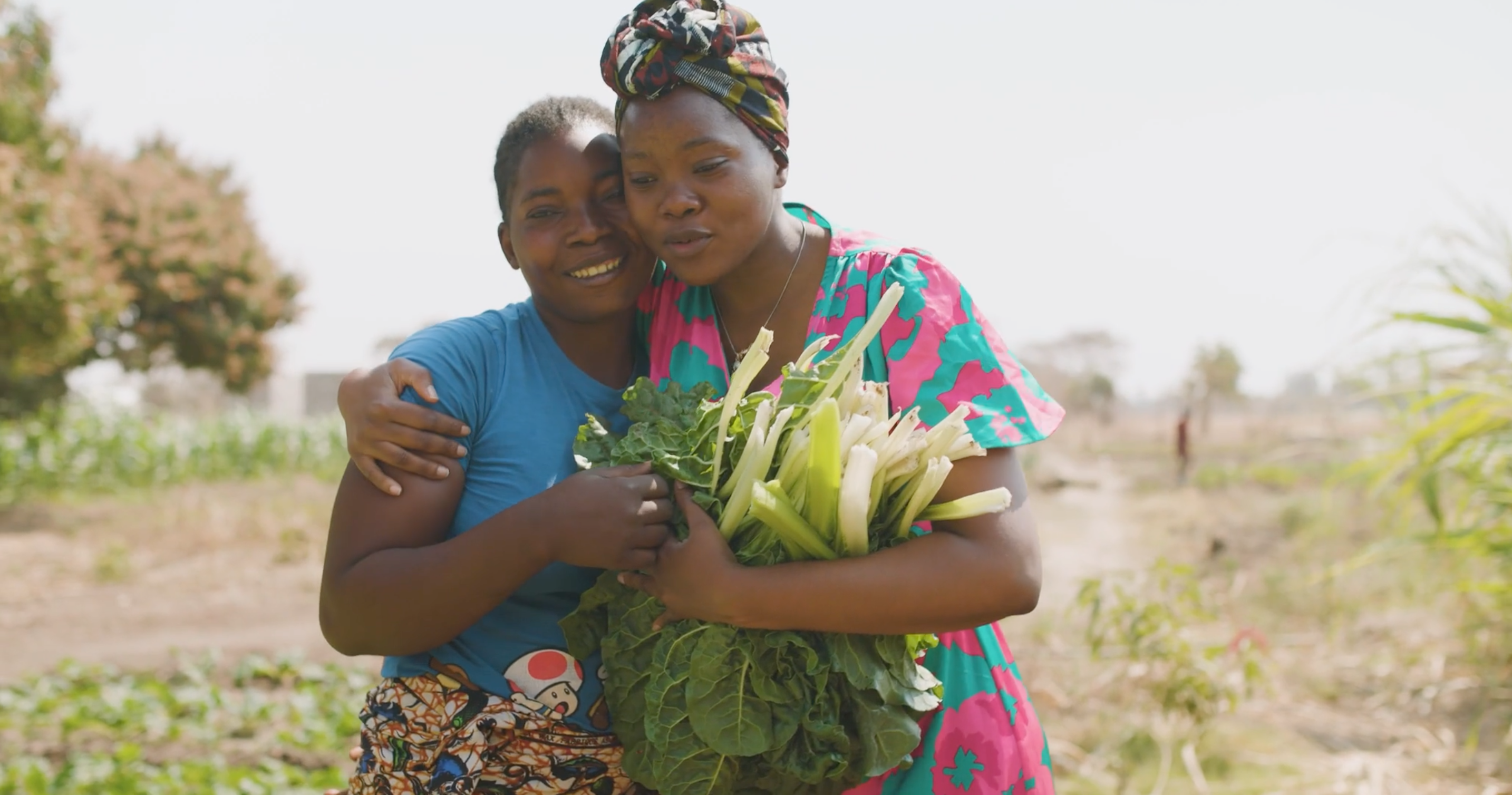 Two African women in colourful clothing embrace warmly in a sun-bleached field, one holding a large bundle of freshly harvested leafy greens. The candid, sun-lit shot captures a joyful moment of connection and shared labour.