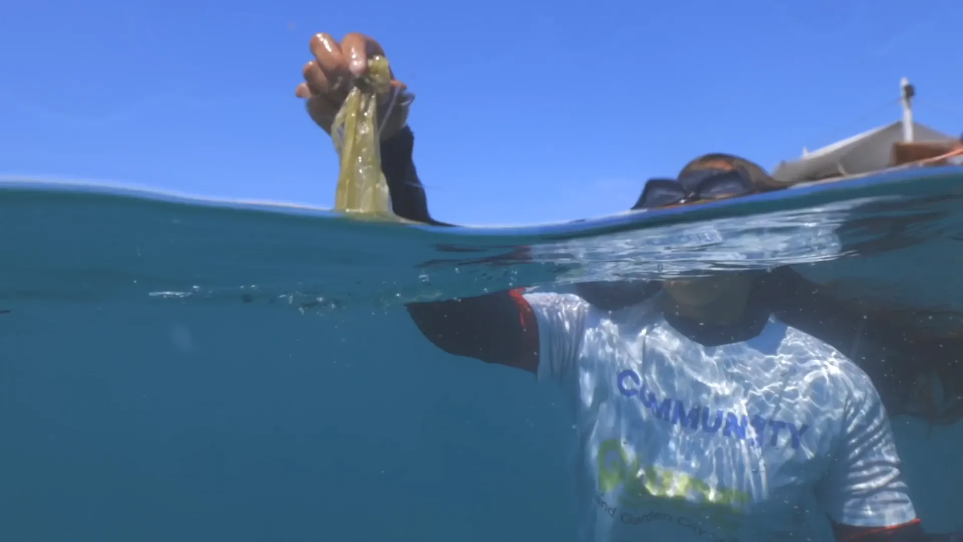 A split above/below water shot of a person in a 'Community' T-shirt holding up a strand of seaweed.