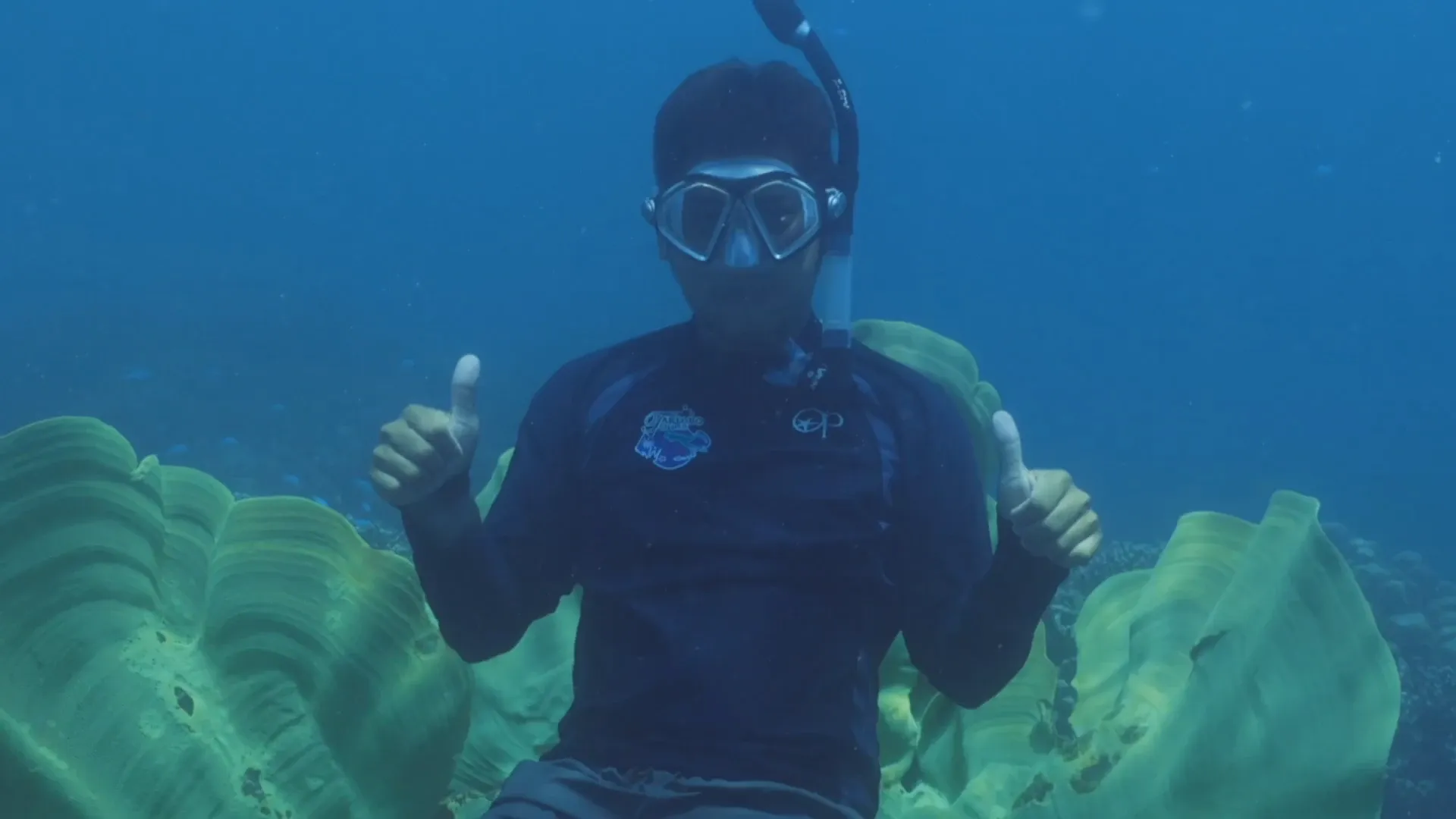 A diver gives two thumbs up underwater near giant clams on a reef.